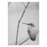 “NICK WILLIAMS: Hummingbird” Hardcover Journal