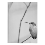 “NICK WILLIAMS: Hummingbird” Hardcover Journal