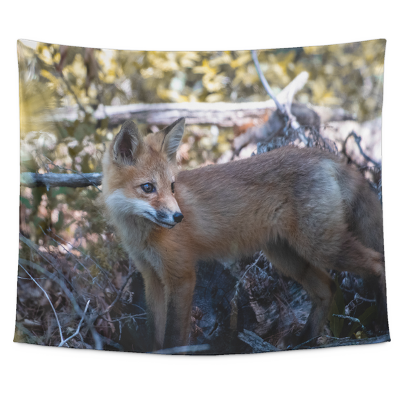 “NICK WILLIAMS: Red Fox” Tapestry (Small, Medium, and Large Sizes Available)