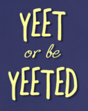 "AO APPAREL: Yeet Or Be Yeeted" Gildan Long Sleeve Shirt (Purple)