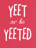 "AO APPAREL: Yeet Or Be Yeeted" Gildan Long Sleeve Shirt (Red)