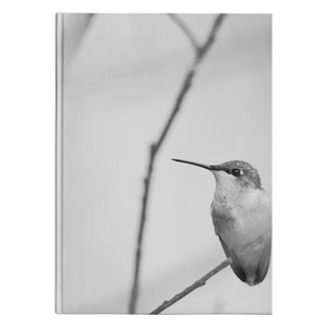 “NICK WILLIAMS: Hummingbird” Hardcover Journal