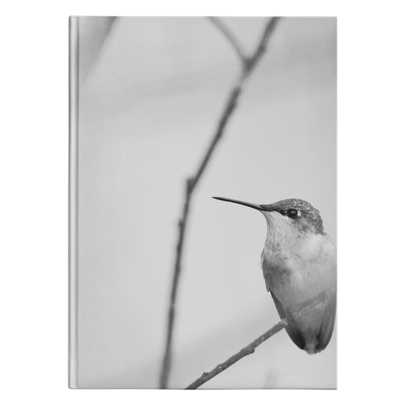 “NICK WILLIAMS: Hummingbird” Hardcover Journal
